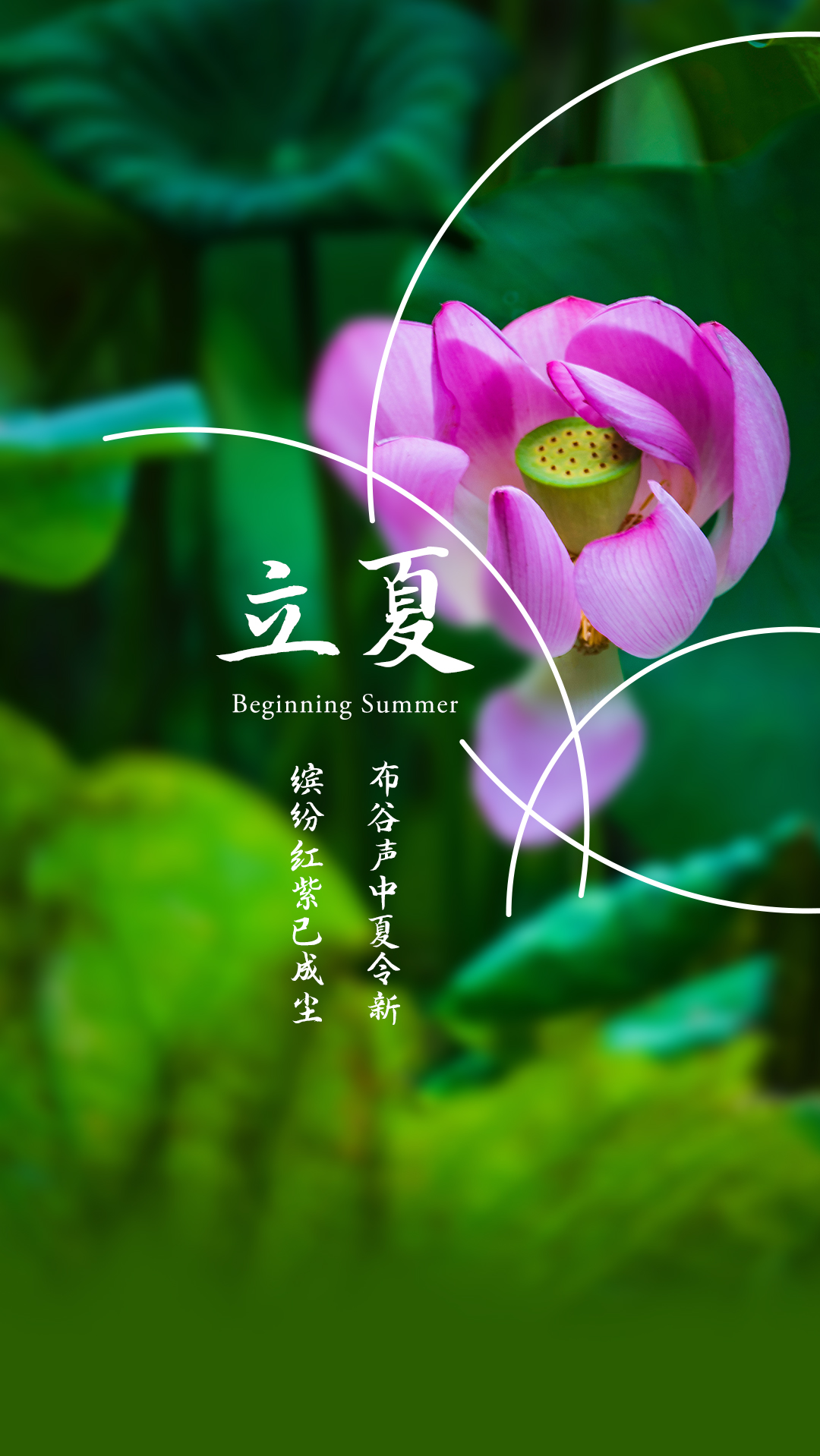 立夏 | 沖破往日的陰霾，懷著對(duì)美好生活的向往，努力奔跑