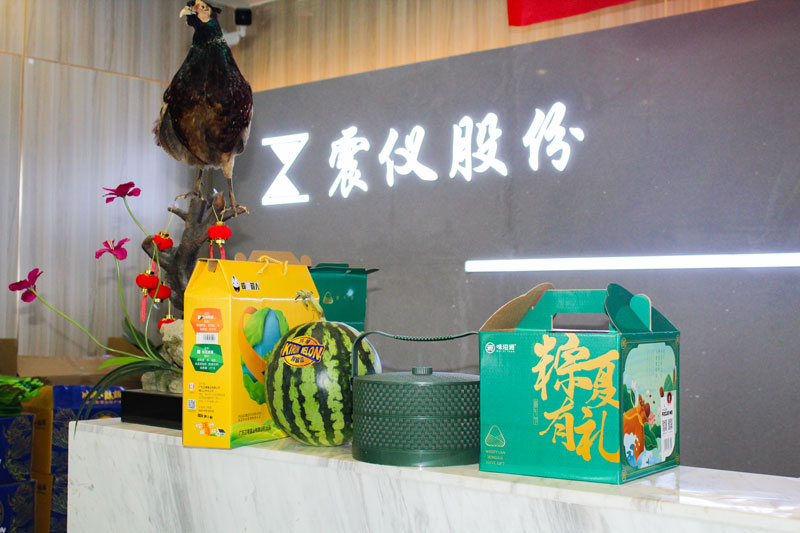 震儀端午節禮品