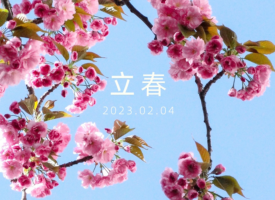 今日，立春 | 迎春而立，逐夢(mèng)揚(yáng)帆